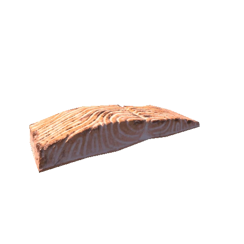 fish slice 2
